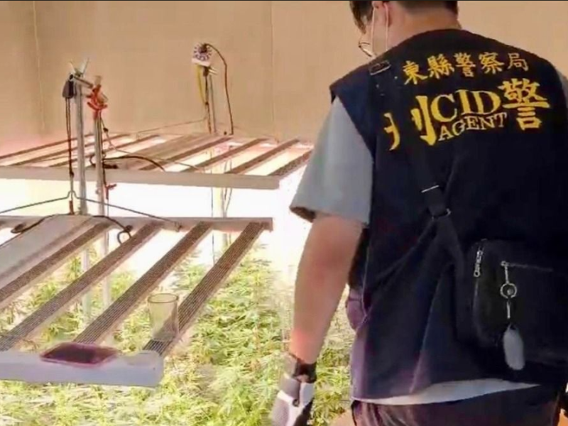 綠島「貨櫃屋種大麻」! 東檢偵辦1人羈押、5人公訴 多名共犯未到案